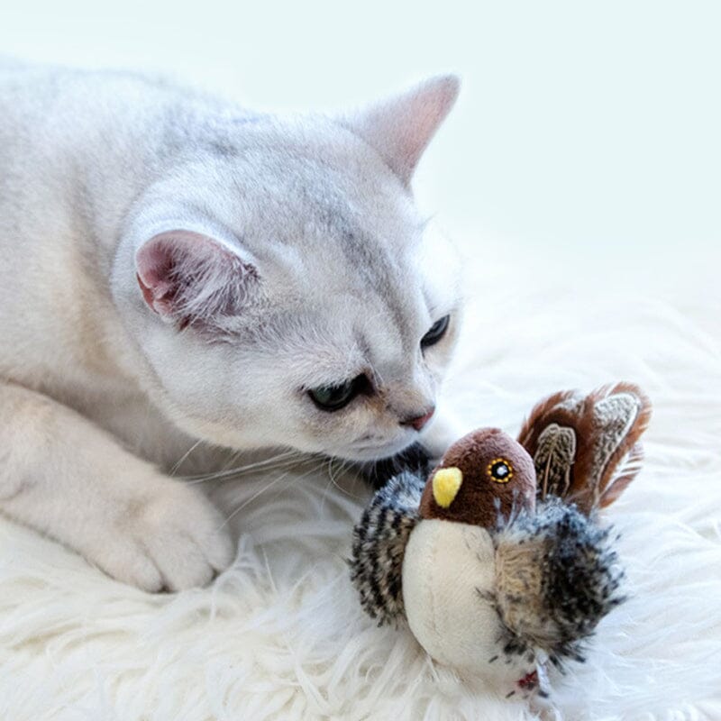 Brinquedo para gato - pássaro a cantar simulado