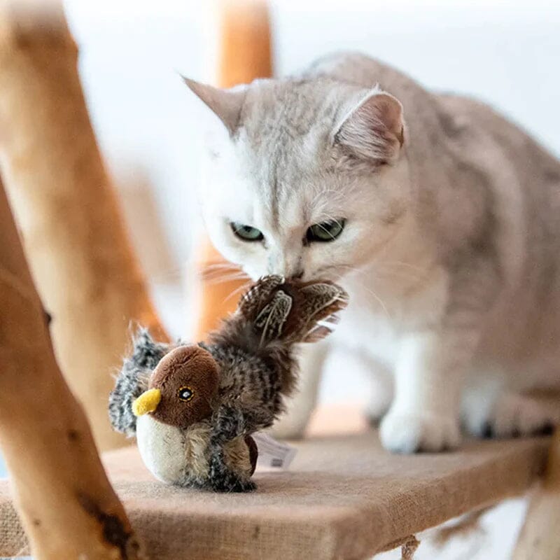 Brinquedo para gato - pássaro a cantar simulado