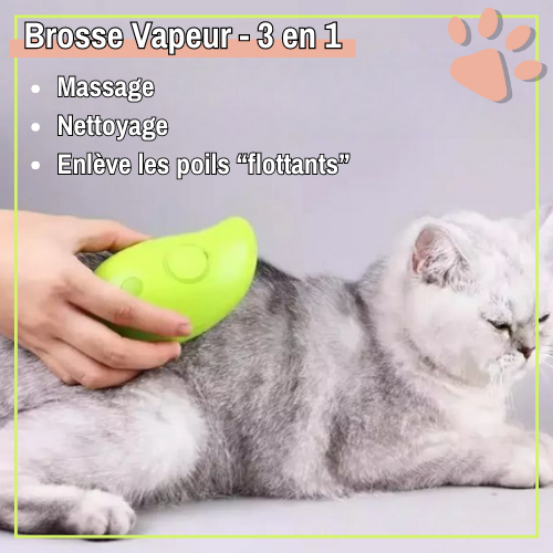 Escova a vapor para cães e gatos - Carregamento USB - Cabo fornecido | JuJuVapBrush™